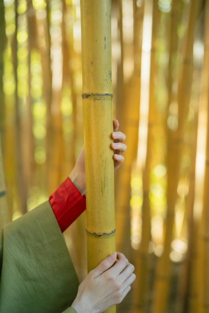 Yellow in Japanese Culture